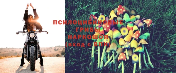 ГАЛЛЮЦИНОГЕННЫЕ ГРИБЫ Зеленокумск