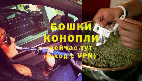 ГАЛЛЮЦИНОГЕННЫЕ ГРИБЫ Зеленокумск